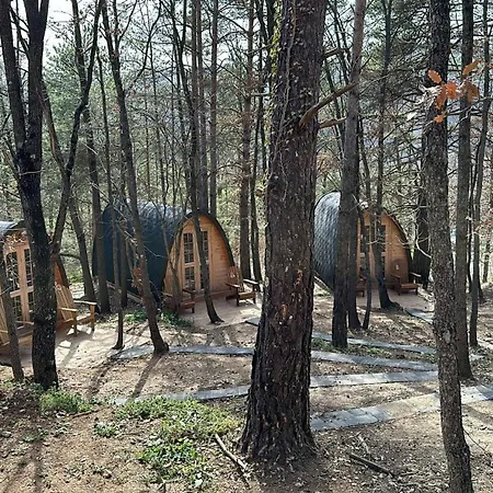 Ripolles Campsite 2*