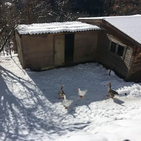 Ripolles Campsite Ripoll